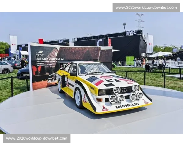 WRC赛场惊魂！盘点那些让人叹为观止的失误集锦